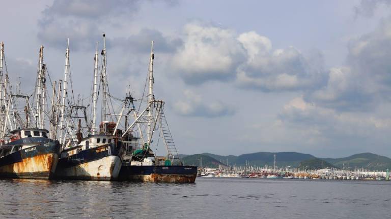 El evento se realizará en la explanada de La Puntilla a las 8:00 horas.