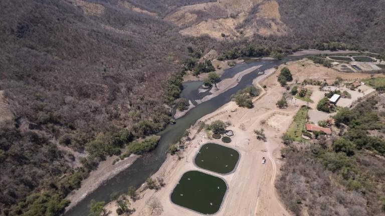 Ante la crisis del agua que se registra en Sinaloa, las cuencas son la respuesta, plantea Conselva.