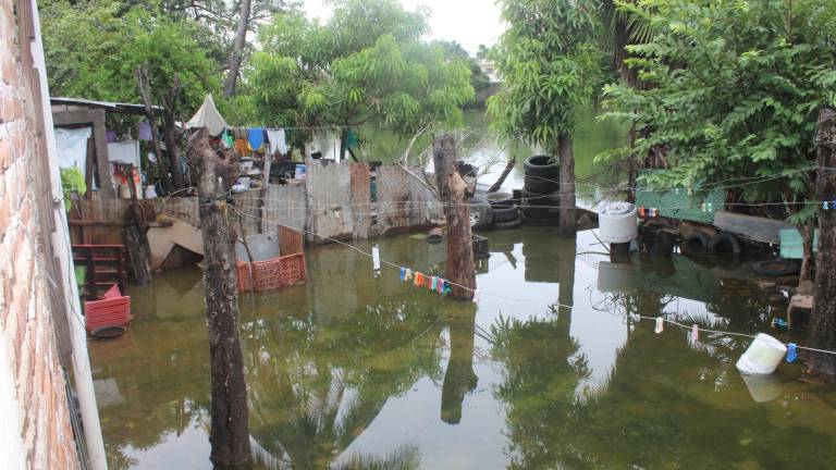 El agua rebosada de las lagunas en Rosario llegó a las viviendas aledañas.