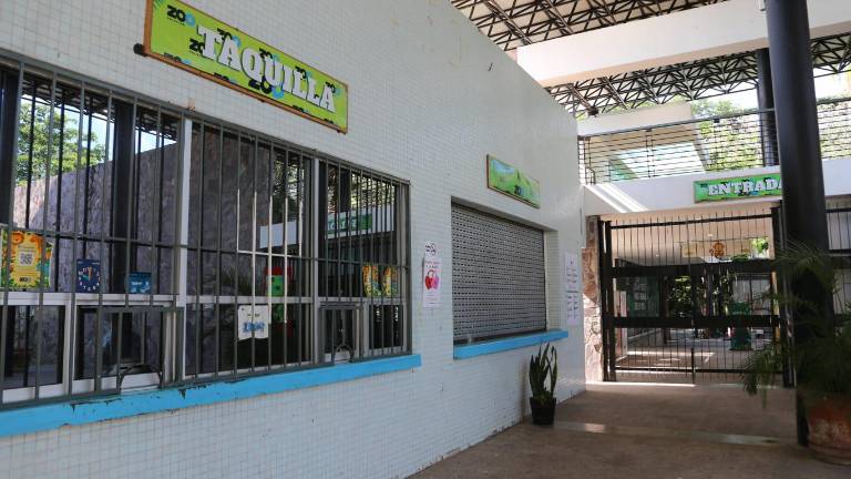 Durante los primeros nueve meses del año, el organismo reportó ingresos por 5 millones 912 mil pesos, mientras que sus gastos ascendieron a 8 millones 161 mil pesos.