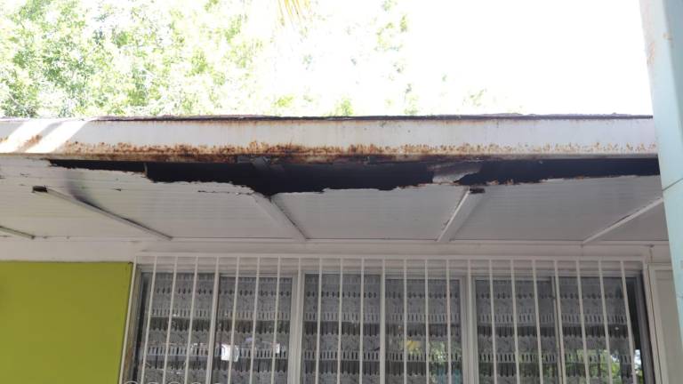 Personal del Jardín de Niños Ángela Lund Gómez suspendió clases tras detectar un enjambre de abejas dentro de un aula del plantel.