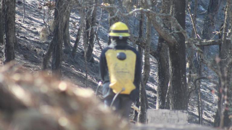 Con rastrillos y palas, brigadistas combaten incendios forestales en Sinaloa