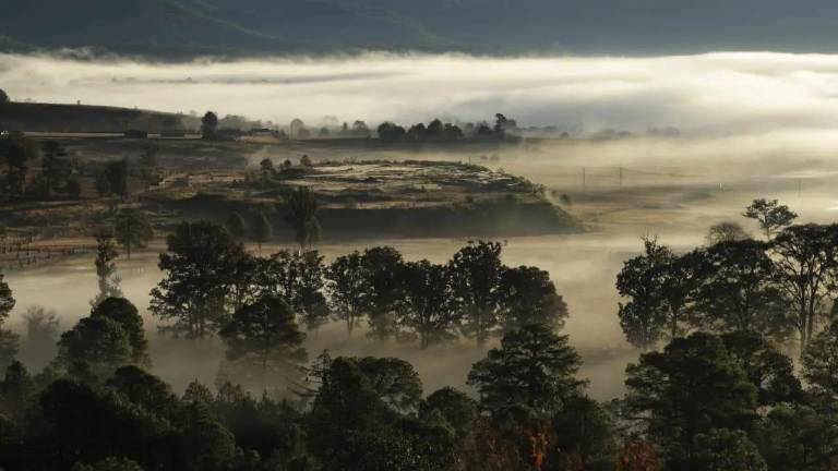 El Gobierno de Sinaloa ha otorgado apoyos para la temporada de frío en al menos cinco municipios.
