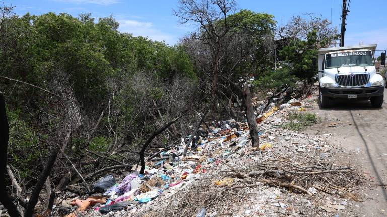 Tras las lluvias, estero del Infiernillo vuelve a cubrirse de basura en Mazatlán