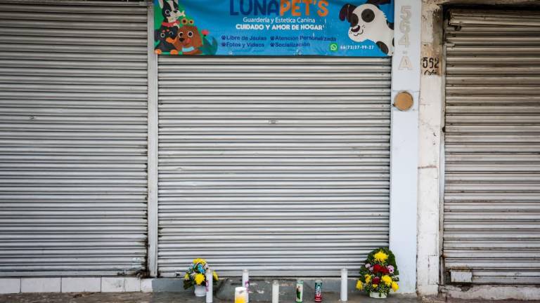 Sara había materializado su gusto por los animales con una guardería de perritos.