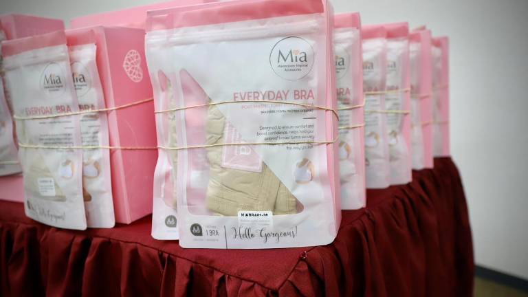 La Secretaría de Salud de Sinaloa llevará a cabo una jornada de apoyo de brasier y prótesis externa de mama.