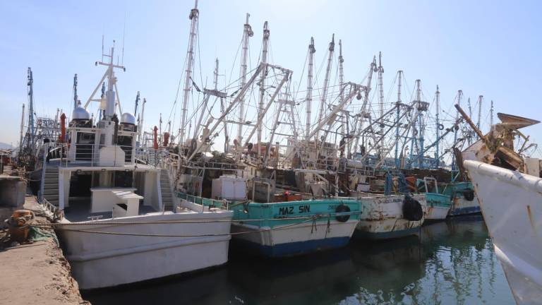 La mayor parte de la flota camaronera de Mazatlán se encuentra amarrada en los muelles pesqueros del Parque Bonfil.