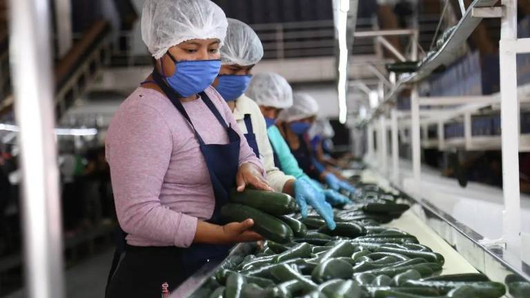 El empleo formal en Sinaloa registró su tercer mes consecutivo a la baja en 2026, según cifras del Instituto Mexicano del Seguro Social.
