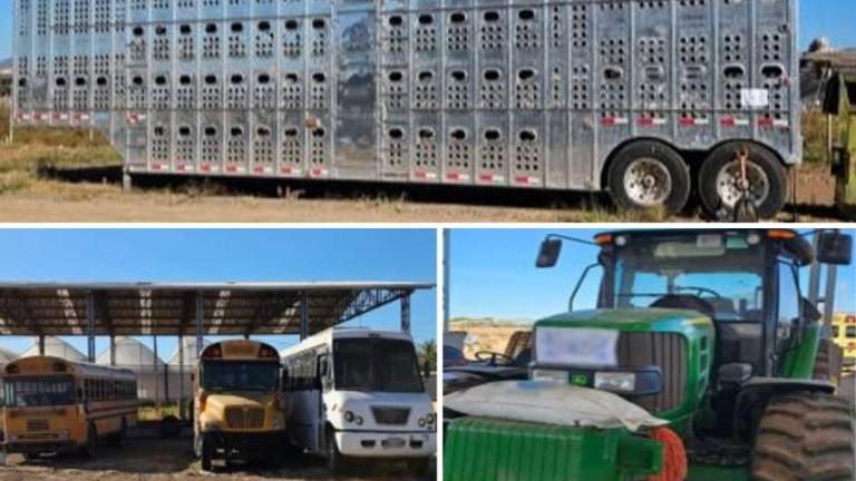 Autoridades federales aseguraron un predio agrícola en Culiacán tras localizar droga y vehículos.