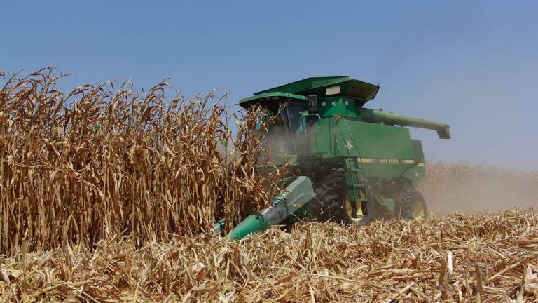 Las actividades primarias y terciarias fueron las que más contribuyeron al crecimiento de Sinaloa en el primer trimestre del año.