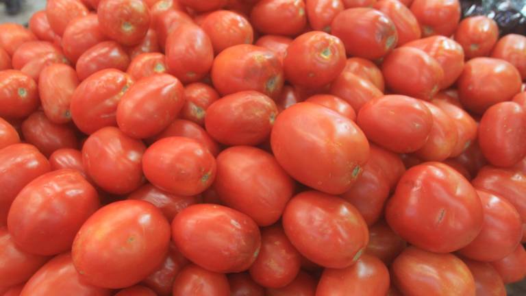 Sigue presionando Florida las importaciones de tomate mexicano