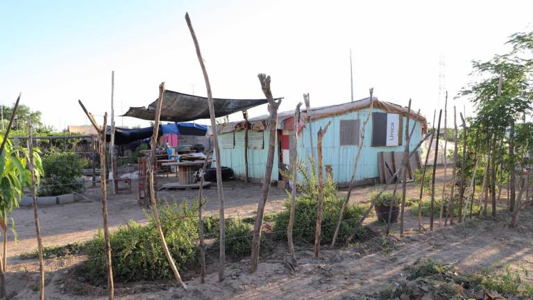 Sebides entrega 3,500 chamarras a comunidades de Sinaloa por bajas temperaturas
