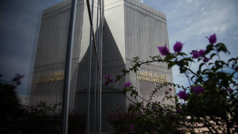 La muestra se llevará a cabo en la Galería de Arte Antonio López Sáenz.