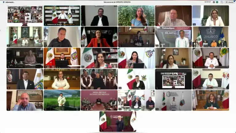 Gobernadores de las 32 entidades atienden presentación de Jornada Nacional de Reforestación.