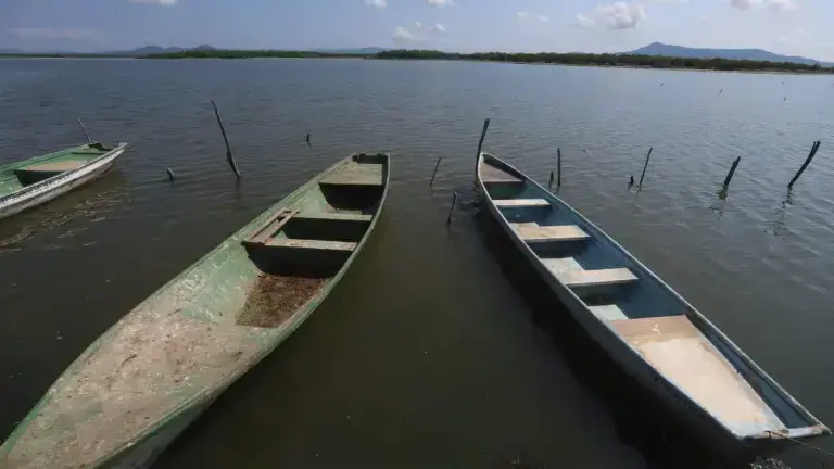 La voz de los pescadores exige acciones inmediatas para evitar que la marisma siga enterrando su futuro.