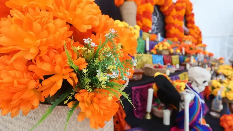 Saúl Robles hace un llamado para que la gente opte por usar otro tipo de veladoras, tales como de plástico, lámparas o figuras de vinil.