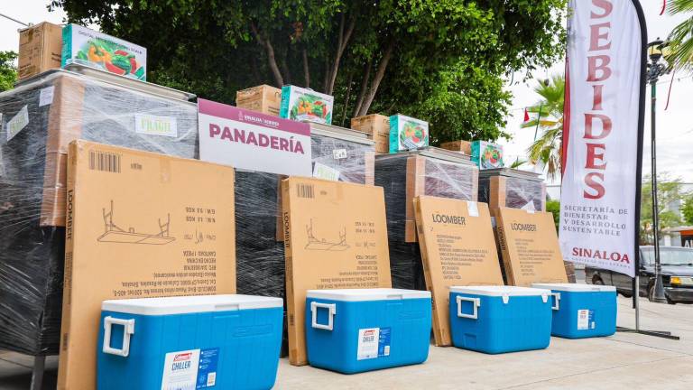 La Secretaría de Bienestar y Desarrollo Sustentable entregó apoyos a familias desplazadas en Choix.