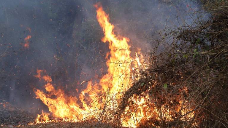 Hasta este miércoles 17 de mayo, de los 20 incendios, tres se encuentran activos en Badiraguato, San Ignacio y Rosario.