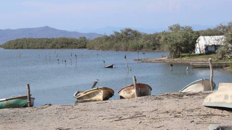 Obras que se necesitan en el sistema lagunar Huizache-Caimanero no se prevén que se vayan a concretar este año.