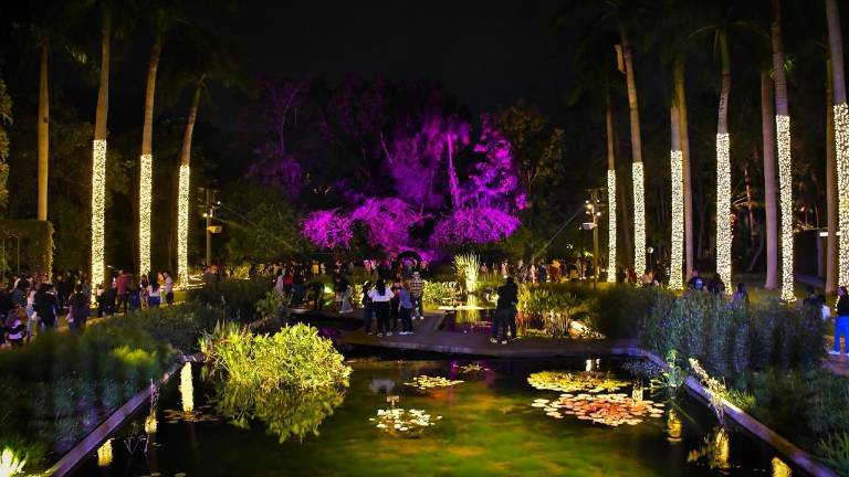 El Jardín Botánico se ilumina con la llegada de la época decembrina.