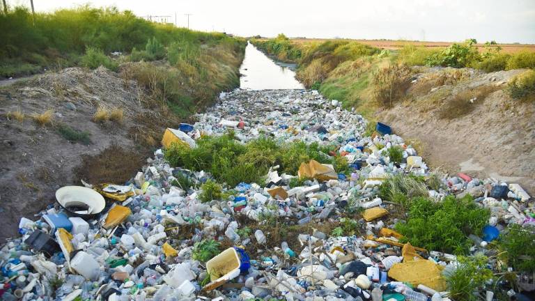 Un “megatapón” de desechos se formó en el dren Mochicahui, en Ahome.