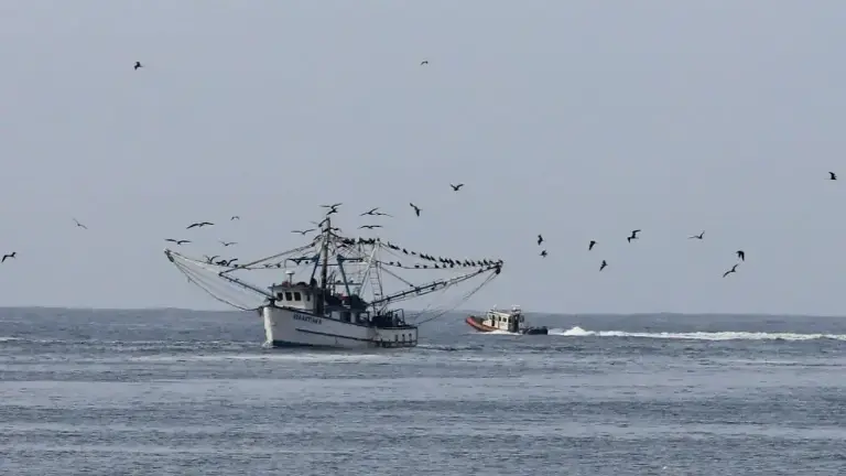 El sector pesquero de Mazatlán ha enfrentado en las últimas temporadas un encarecimiento del diésel marino y la baja producción.