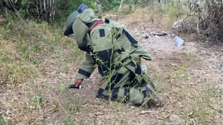 Ejército destruye explosivos improvisados en Palmillas; autoridades descartan riesgo para la población.