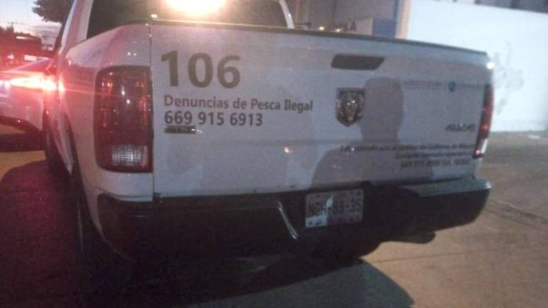 En Mazatlán, intentan robar dorado valuado en $2 millones; hay detenidos