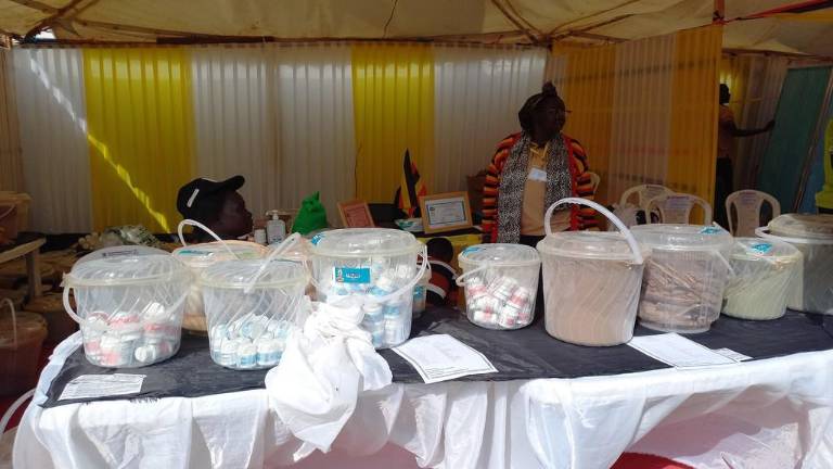 Medicamentos herbolarios tradicionales.