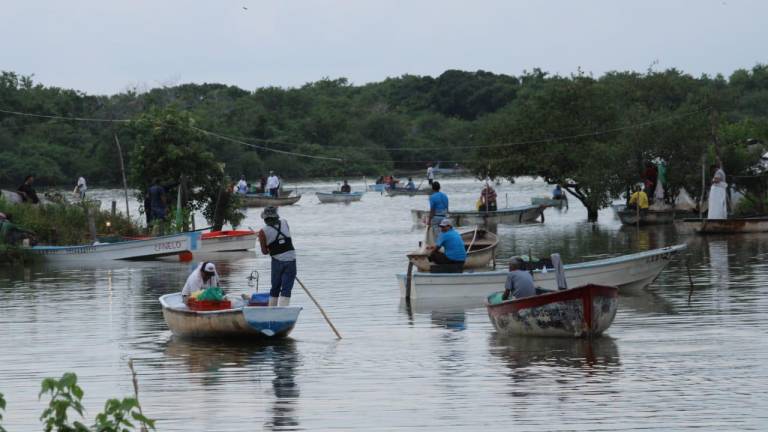 Esteros de Rosario tienen inicio flojo en pesca de camarón