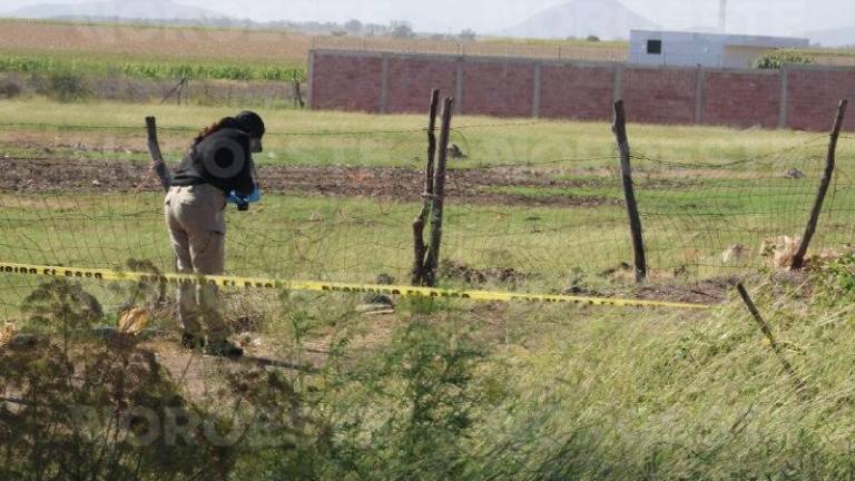 Personal de la Fiscalía de Sinaloa realizan las diligencias correspondientes en el predio de Stanza Granada.