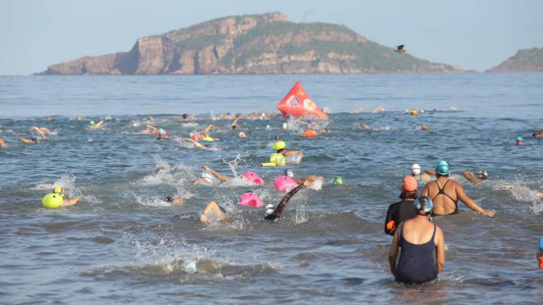 Los miembros de natación preparan diferentes eventos.