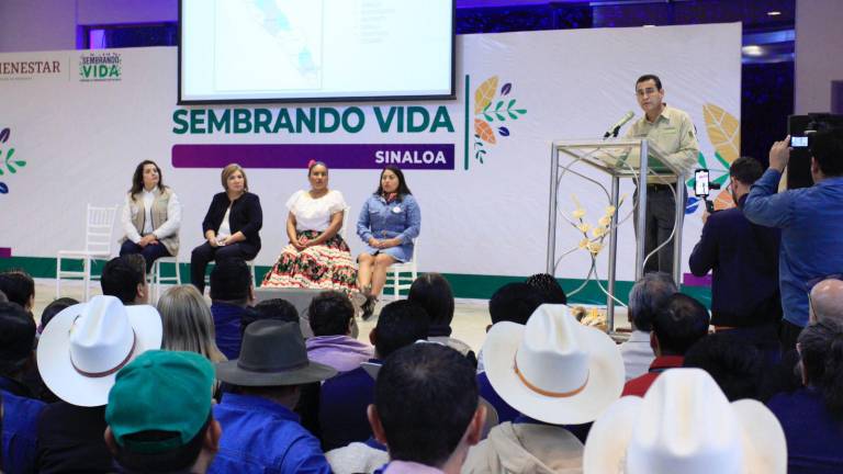Informe sobre el alcance que ha tenido el programa Sembrando Vida en Sinaloa.