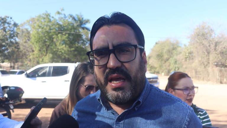 Gámez Mendívil señaló que esta medida fue una solicitud de la ex presidenta de la Cámara Nacional de la Industria de Restaurantes y Alimentos Condimentados, Laura Guzmán Torrontegui.