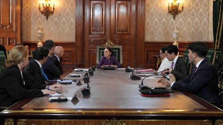 Sheinbaum detalló que su administración solicitó al alto comisionado de la ONU diversas formas de cooperación técnica y acompañamiento.