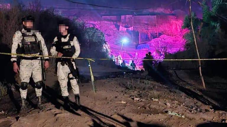 Un pepenador murió durante la madrugada de este martes en el basurón municipal de Culiacán al ser atropellado por un camión recolector.