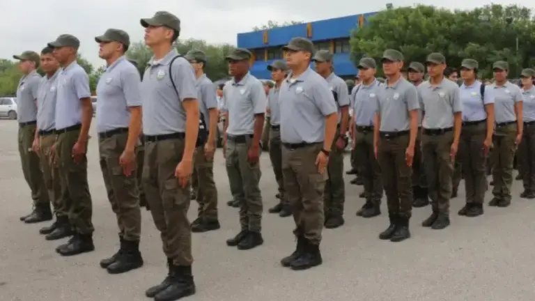 Las escuelas militarizadas no están permitidas.