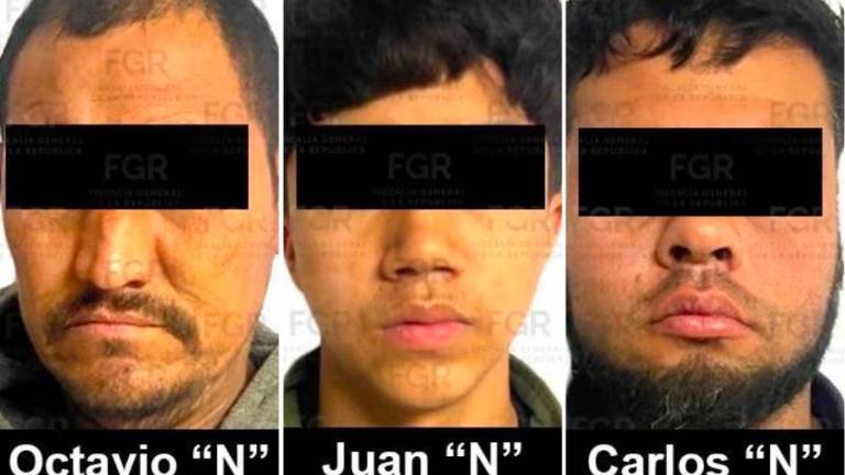 Tres hombres purgarán una condena superior a los 29 años de prisión tras ser capturados en Elota.