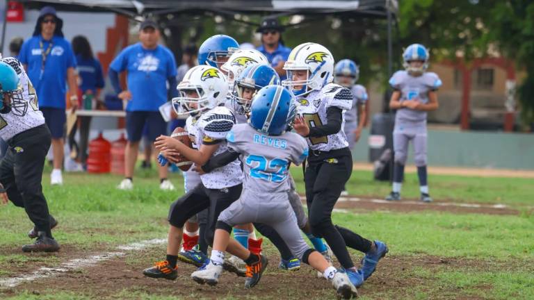 Halcones buscará mantener el paso ganador cuando visite este domingo a Dragones de Irapuato.