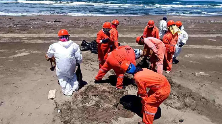 Los trabajos de limpieza en las costas del Golfo de México continúa tras derramamiento de hidrocarburos.