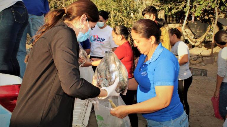 La entrega de pescado fue realizada por parte del DIF Rosario a familias de escasos recursos.