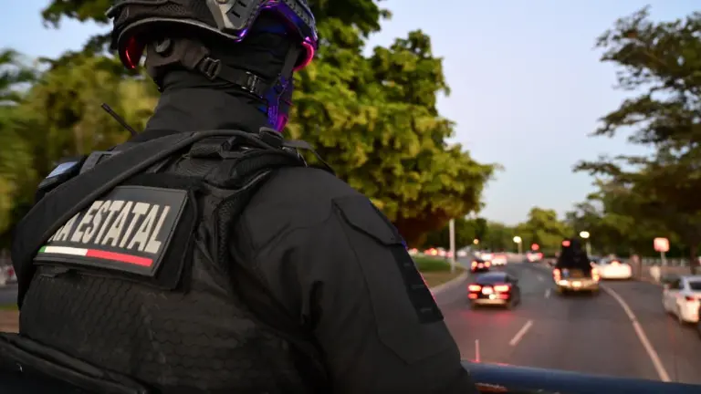 Agentes estatales refuerzan la vigilancia en sectores comerciales para prevenir incidentes delictivos.