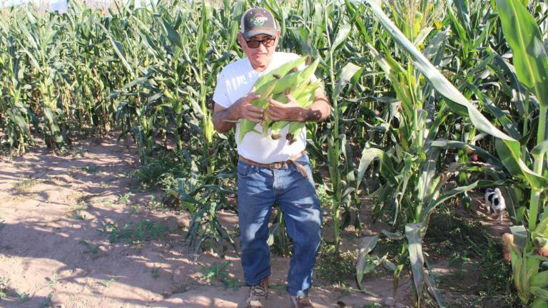 Durante casi siete décadas, Gilberto García Delgado mantiene una vida apegada al campo.