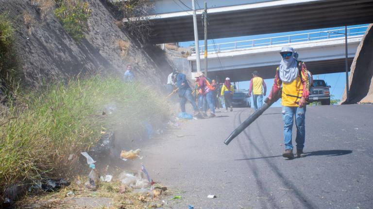 Los trabajos consistieron en labores de limpieza y detallado.