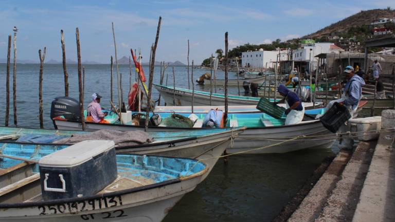 En Guasave, pescadores también esperan motores marinos nuevos