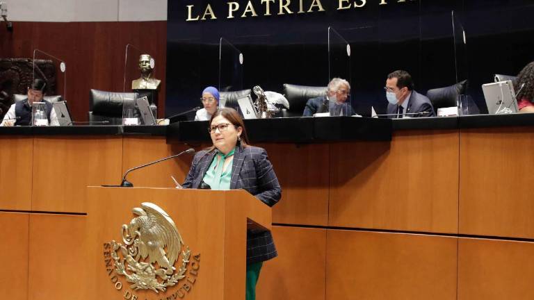La Senadora Imelda Castro habló desde la tribuna.