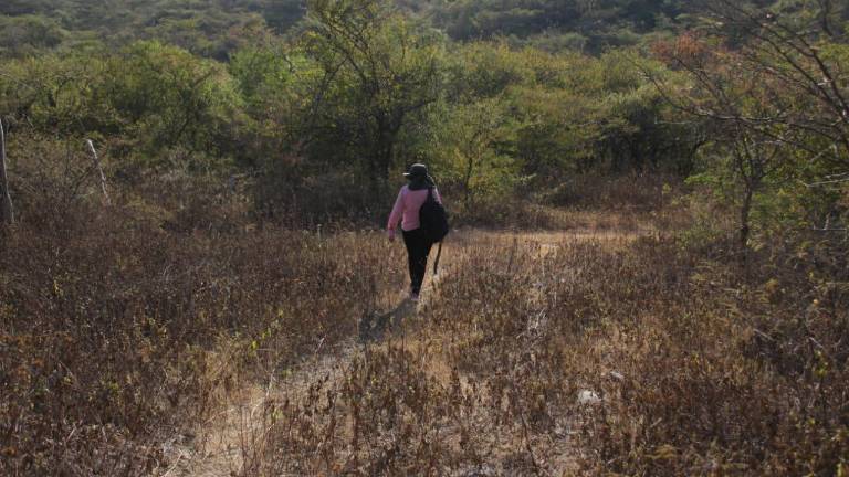 A lo largo del País, diversos colectivos mantienen tareas de búsqueda de personas desaparecidas.