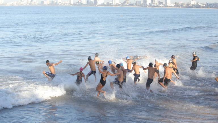 Los escualos tendrán intensa actividad en este 2022.