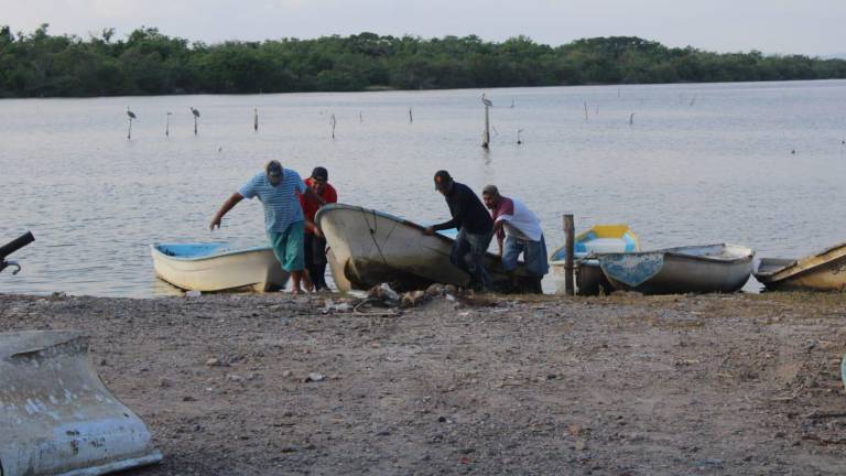 Tan sólo en la zona de El Caimanero se afectan a 15 cooperativas pesqueras con repercusión en diversas comunidades.