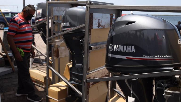 Arranca con buena expectativa la captura de camarón en la bahía de Altata